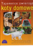 Koty domowe - Bulman Katarzyna